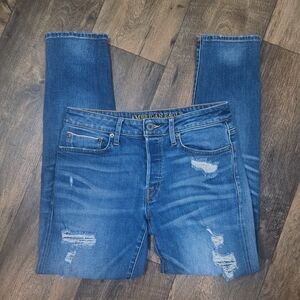 American Eagle Outfitters Blue Slim Jeans